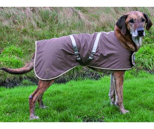 Manteau de chien
